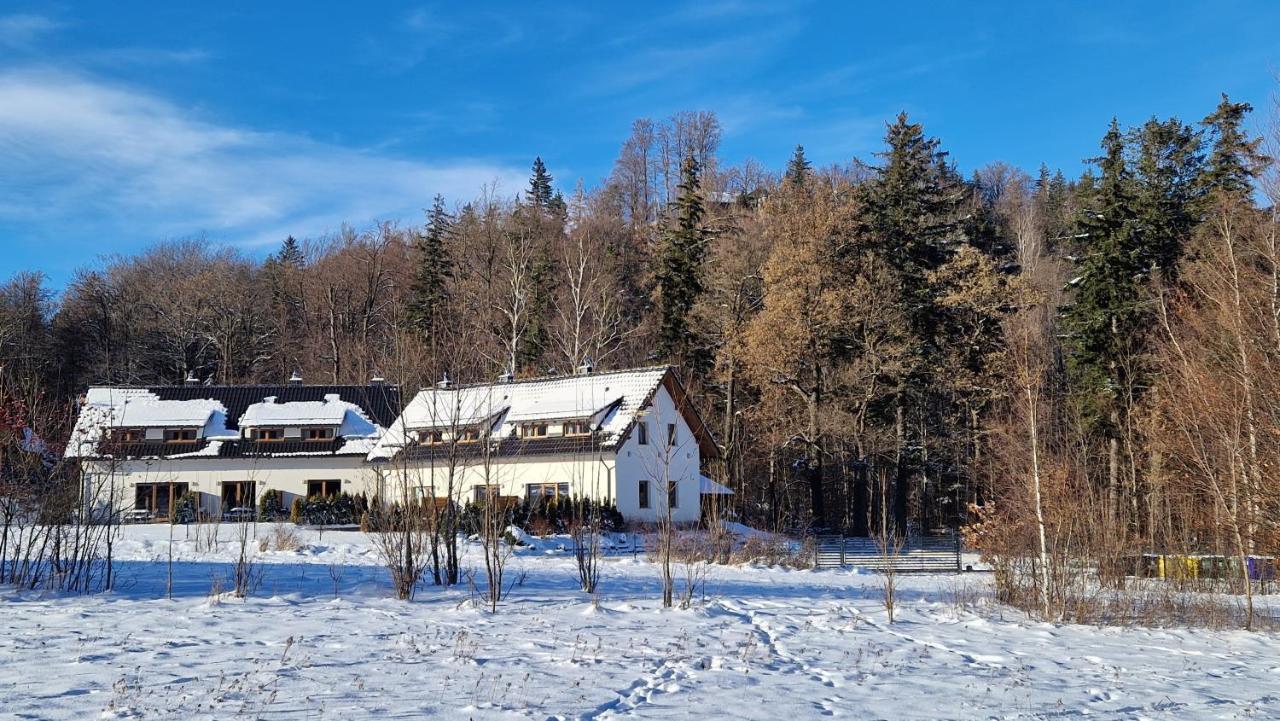 Widokowo - Domki Z Widokiem Na Sniezke Z Jacuzzi I Sauna Karpacz Dış mekan fotoğraf