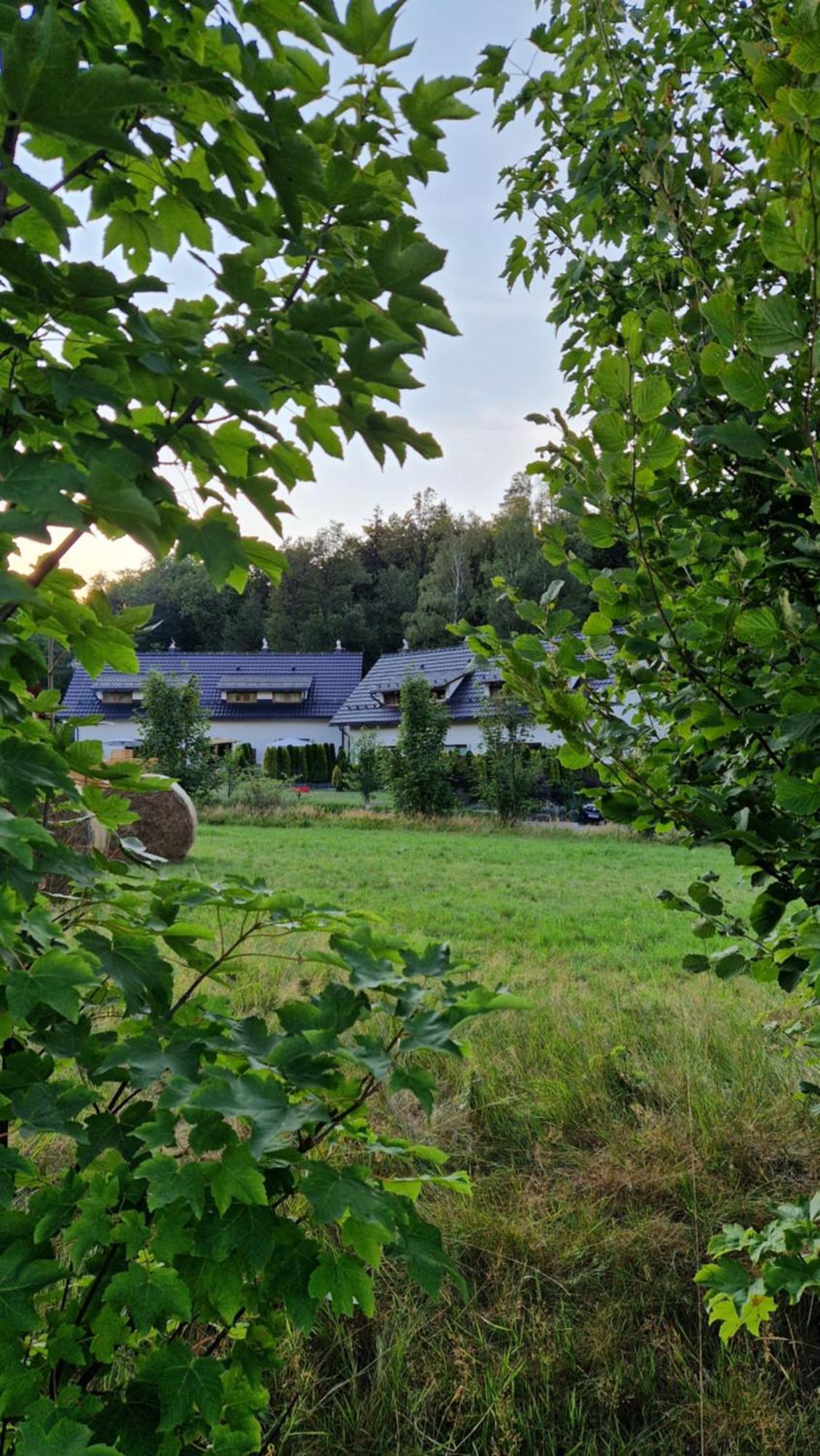 Widokowo - Domki Z Widokiem Na Sniezke Z Jacuzzi I Sauna Karpacz Dış mekan fotoğraf